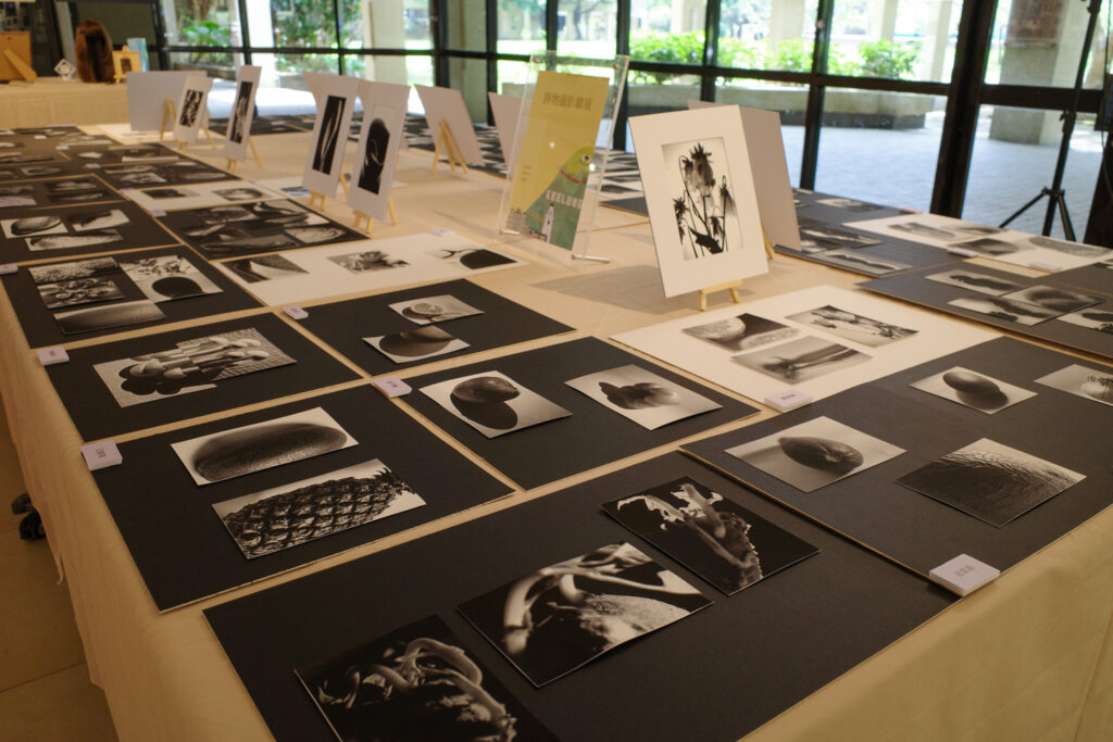 <進階攝影>-靜物攝影
侯鵬暉老師 指導