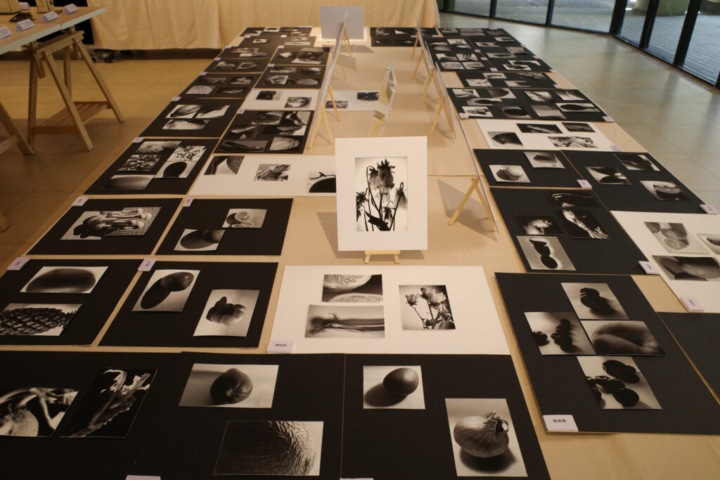 <進階攝影>-靜物攝影
侯鵬暉老師 指導